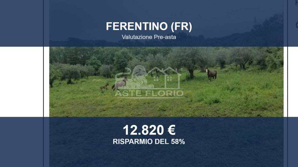 terreno agricolo in vendita a Ferentino