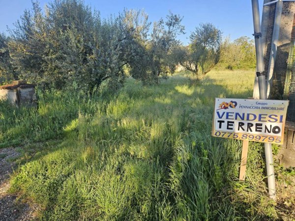 terreno agricolo in vendita a Ferentino