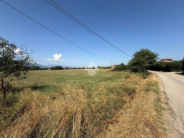 terreno agricolo in vendita a Ferentino