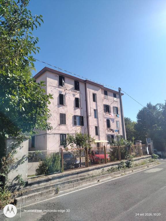 immagine annuncio 0 di 15