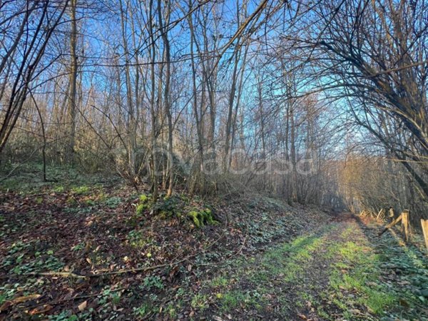 terreno agricolo in vendita a Fiuggi