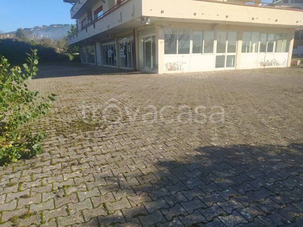 negozio in vendita a Fiuggi