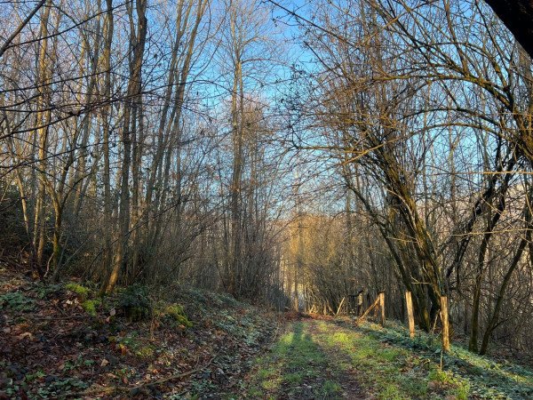 terreno agricolo in vendita a Fiuggi