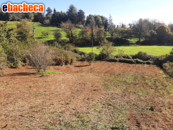 terreno agricolo in vendita a Fiuggi