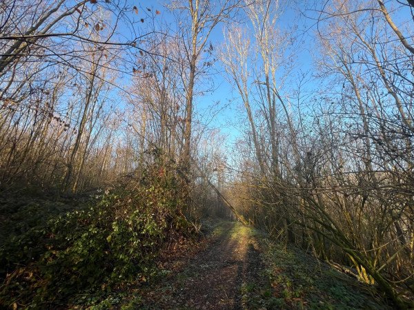 terreno agricolo in vendita a Fiuggi
