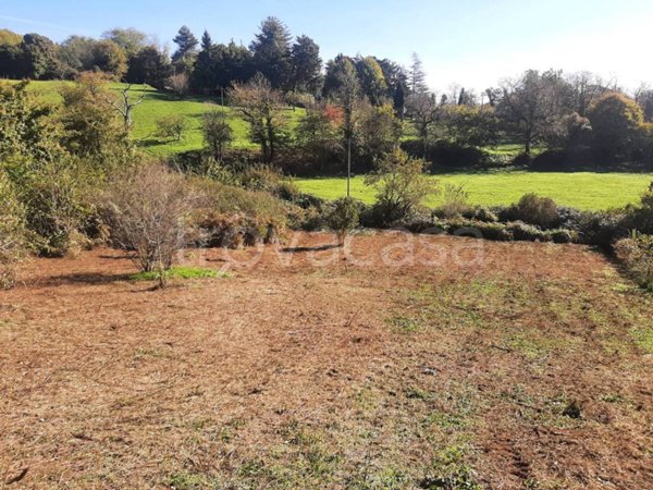 terreno agricolo in vendita a Fiuggi