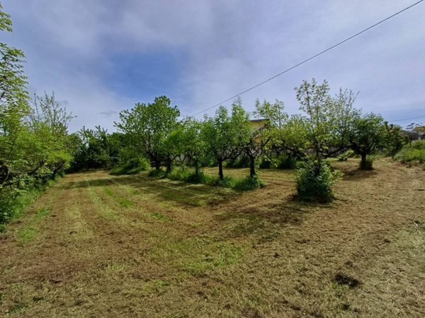 terreno agricolo in vendita a Fiuggi