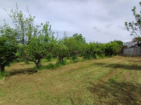 terreno agricolo in vendita a Fiuggi