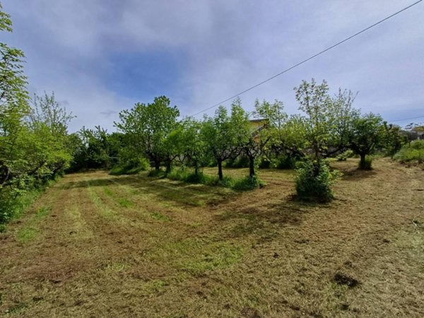 terreno agricolo in vendita a Fiuggi
