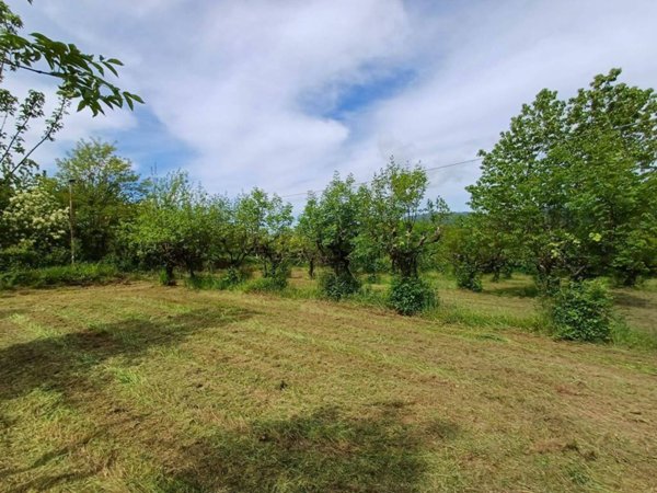 terreno agricolo in vendita a Fiuggi