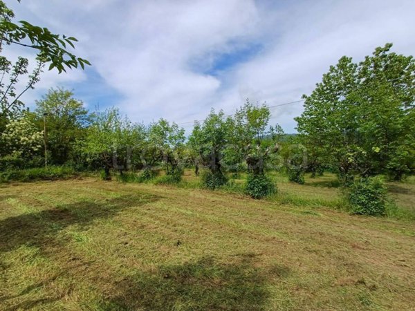 terreno agricolo in vendita a Fiuggi