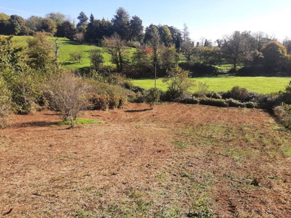 terreno agricolo in vendita a Fiuggi