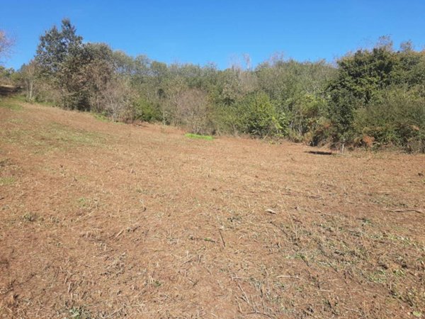 terreno agricolo in vendita a Fiuggi