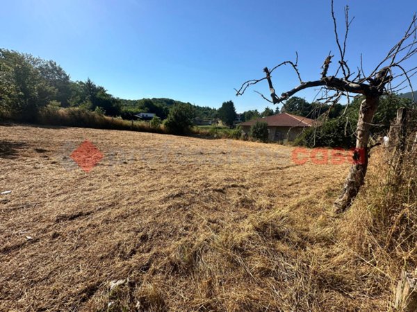 terreno agricolo in vendita a Fiuggi