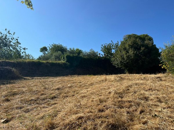 terreno agricolo in vendita a Fiuggi