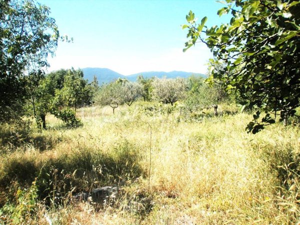 terreno agricolo in vendita a Fiuggi