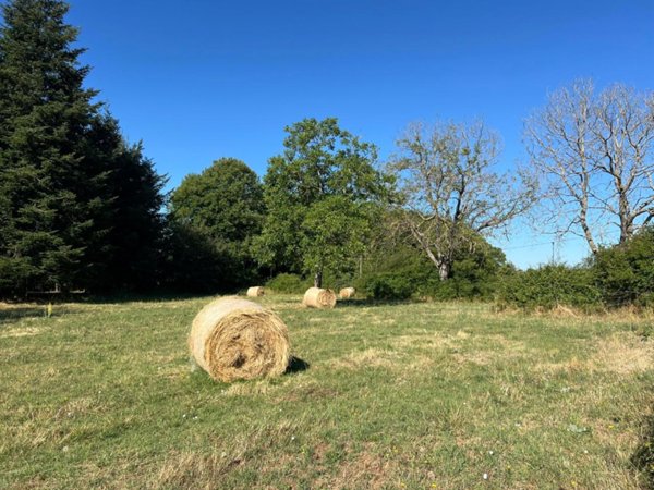 terreno agricolo in vendita a Fiuggi