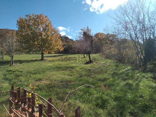 casa indipendente in vendita a Fiuggi