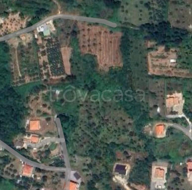 terreno agricolo in vendita a Fiuggi