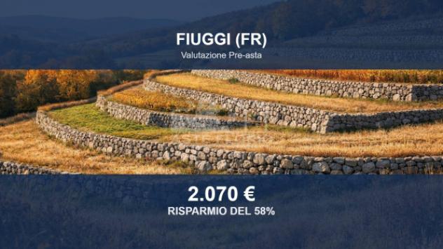 terreno agricolo in vendita a Fiuggi
