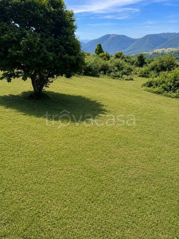 terreno agricolo in vendita a Fiuggi