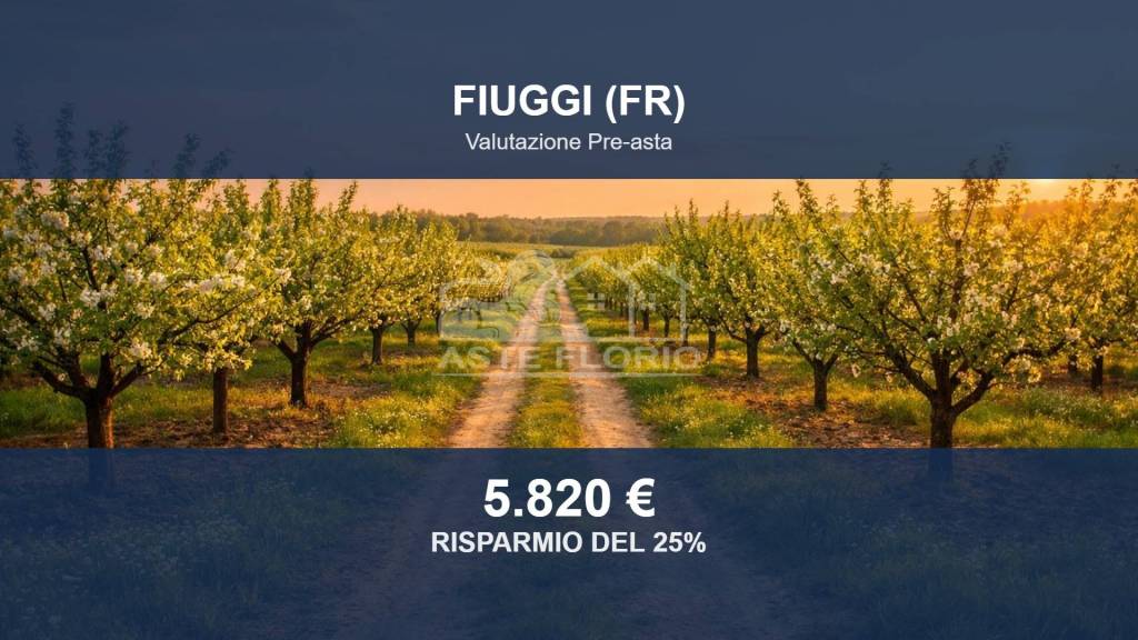 terreno agricolo in vendita a Fiuggi