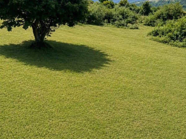 terreno agricolo in vendita a Fiuggi