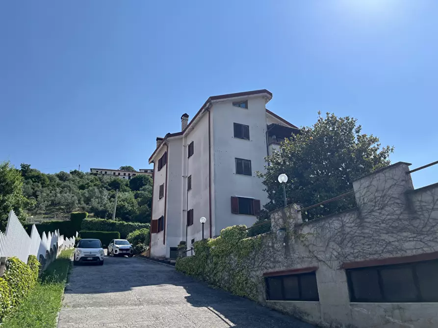 immagine annuncio 0 di 15