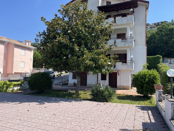 immagine annuncio 0 di 10