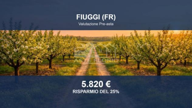 terreno agricolo in vendita a Fiuggi