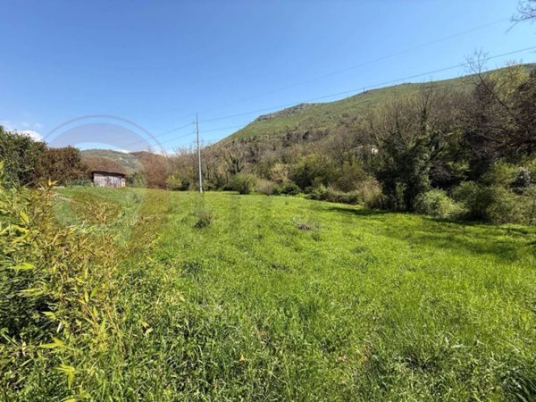 terreno agricolo in vendita a Fontana Liri