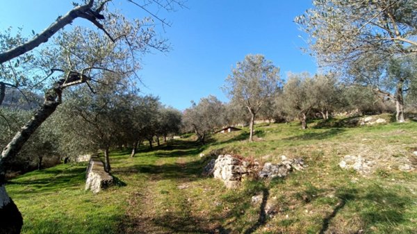 terreno agricolo in vendita a Fontechiari
