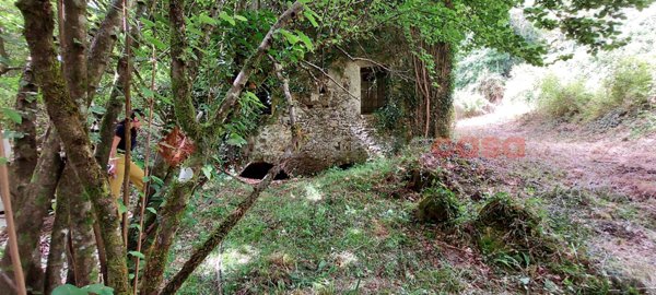casa indipendente in vendita a Fontechiari