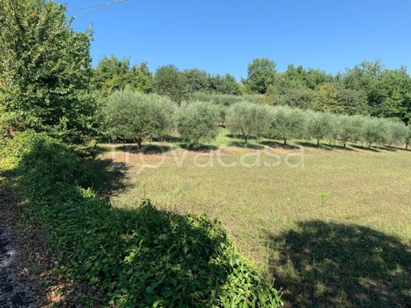 terreno agricolo in vendita a Fontechiari