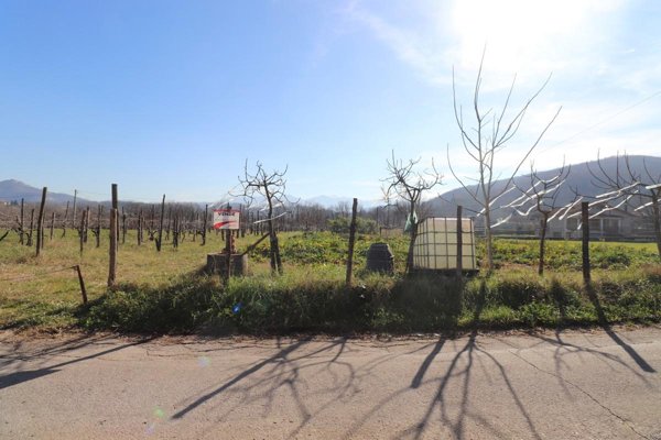 terreno agricolo in vendita a Fontechiari