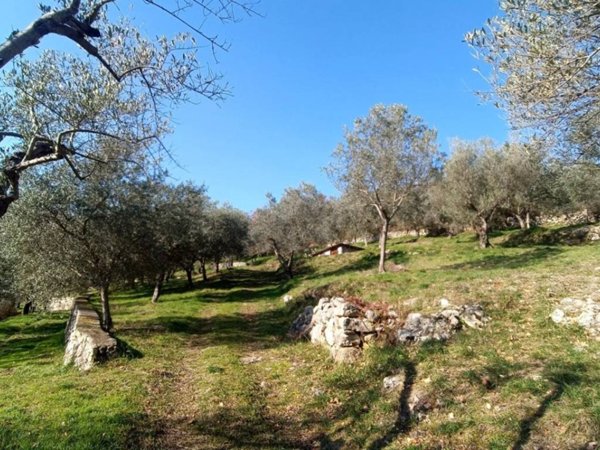 terreno agricolo in vendita a Fontechiari