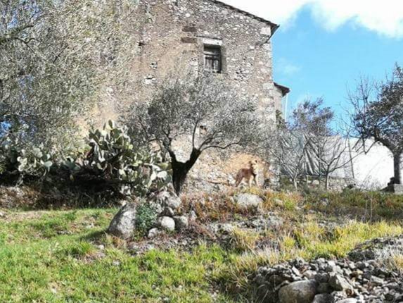 casale in vendita a Fontechiari