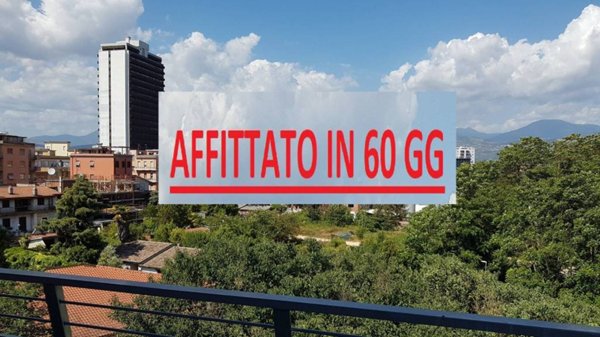 appartamento in affitto a Frosinone