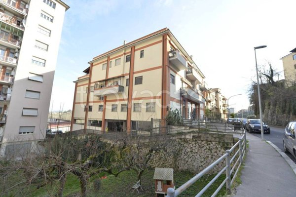negozio in vendita a Frosinone