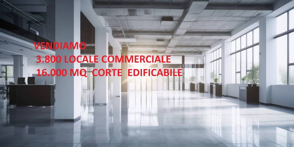 negozio in vendita a Frosinone