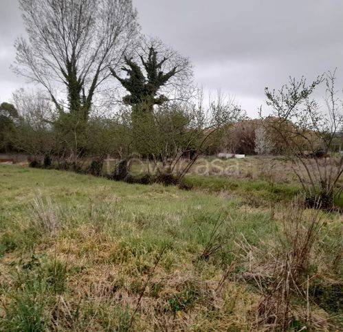 terreno agricolo in vendita a Frosinone