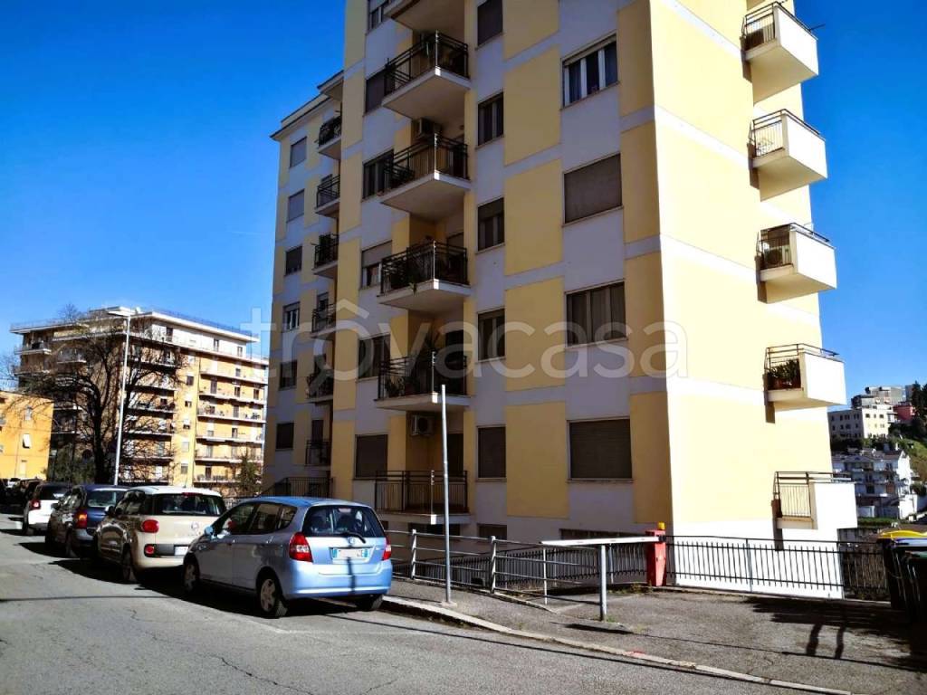 appartamento in vendita a Frosinone