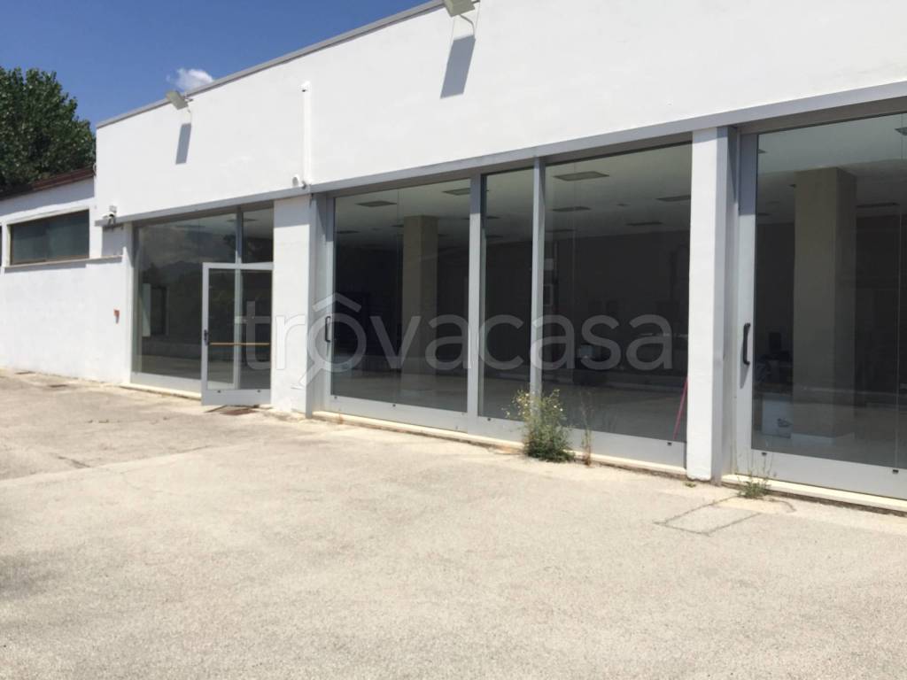 negozio in vendita a Frosinone