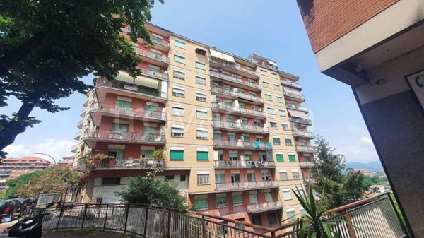 appartamento in vendita a Frosinone