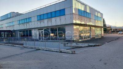 negozio in vendita a Frosinone