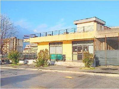 negozio in vendita a Frosinone