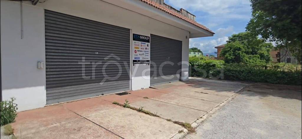 negozio in vendita a Frosinone