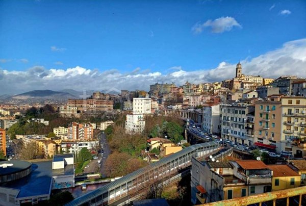 immagine annuncio 0 di 14
