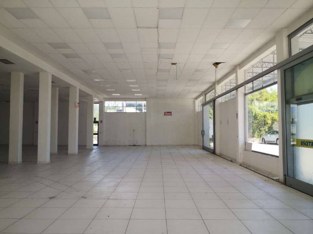 negozio in vendita a Frosinone