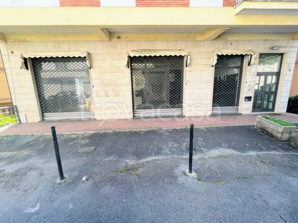 negozio in vendita a Frosinone